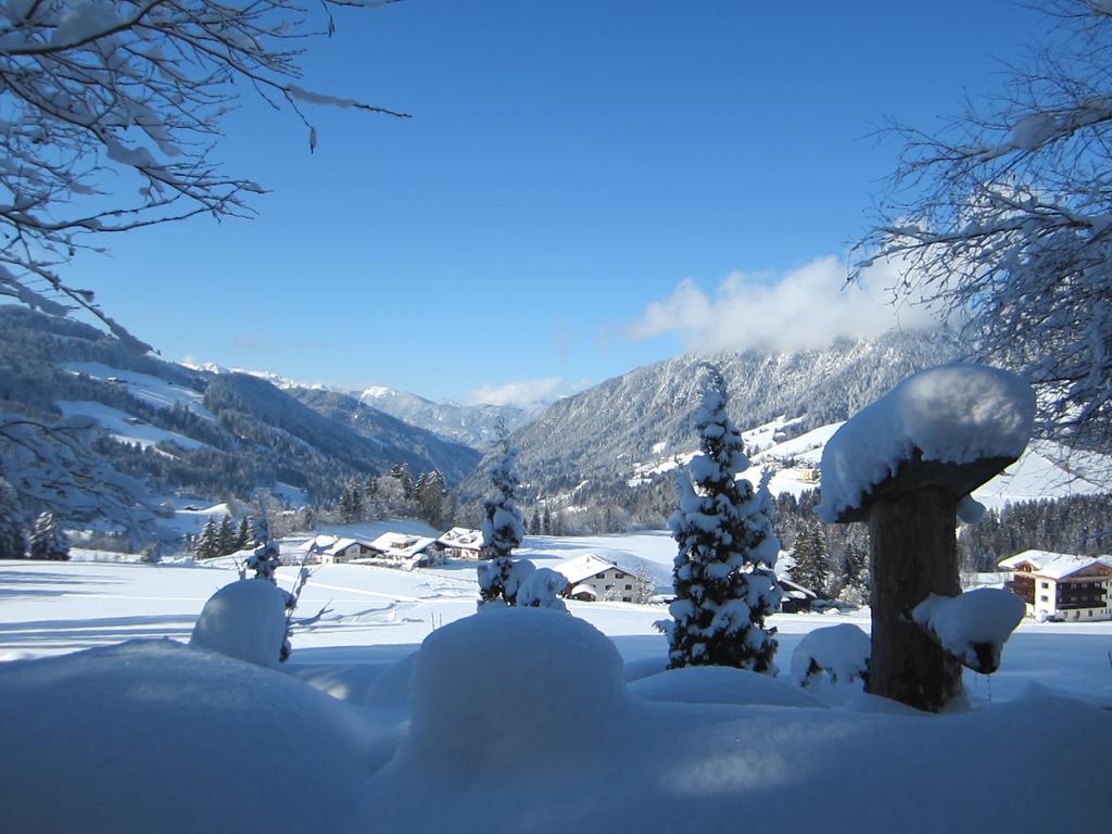 Vila Fertinghof Wildschoenau Exteriér fotografie