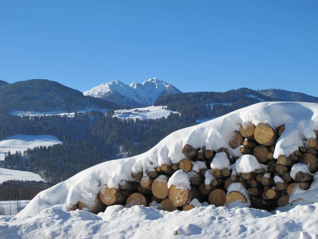 Vila Fertinghof Wildschoenau Exteriér fotografie